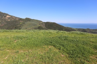Enlarge photo 118
