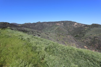 Enlarge photo 119