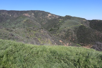 Enlarge photo 120