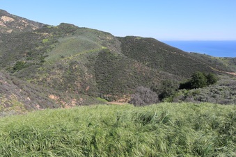 Enlarge photo 121