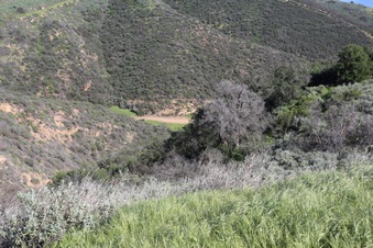Enlarge photo 123