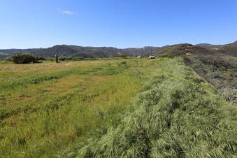 Enlarge photo 125