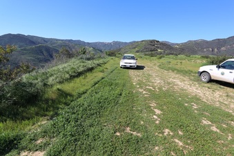 Enlarge photo 130