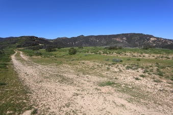 Enlarge photo 133