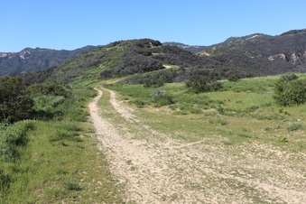Enlarge photo 134