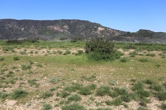 Enlarge photo 135