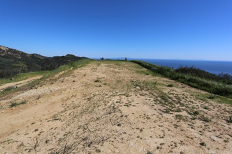 Enlarge photo 137