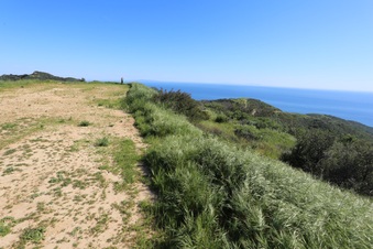 Enlarge photo 138