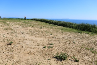 Enlarge photo 140