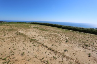 Enlarge photo 141