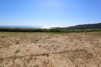 Enlarge photo 142