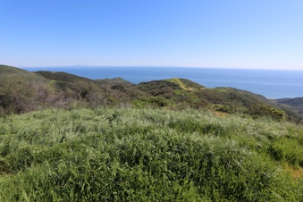 Enlarge photo 145
