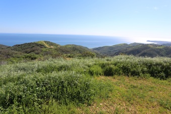 Enlarge photo 146