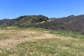 Enlarge photo 152