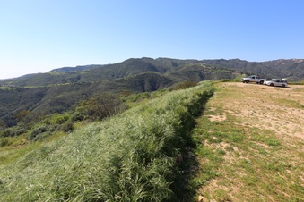 Enlarge photo 154