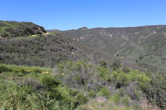 Enlarge photo 155