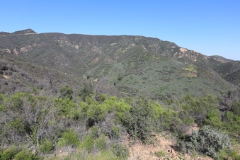 Enlarge photo 156