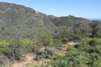 Enlarge photo 157