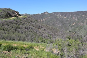 Enlarge photo 159