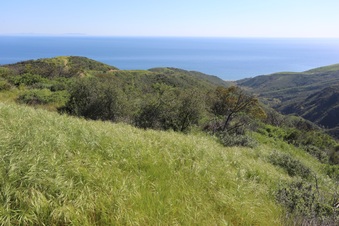 Enlarge photo 160