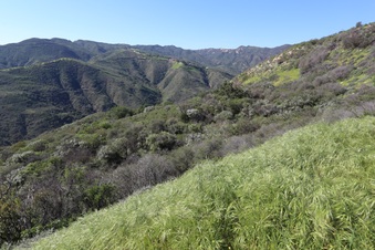 Enlarge photo 163