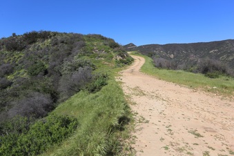 Enlarge photo 166