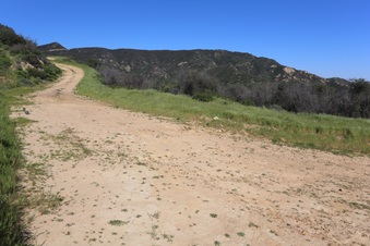 Enlarge photo 167
