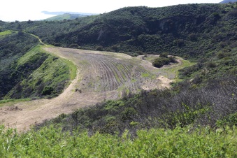 Enlarge photo 169