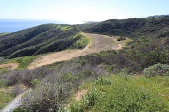 Enlarge photo 171