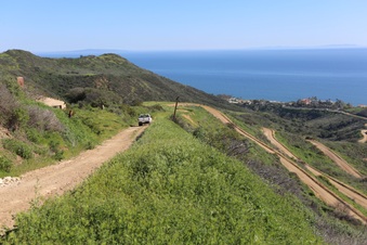 Enlarge photo 172