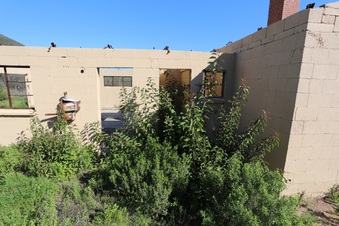 Enlarge photo 185
