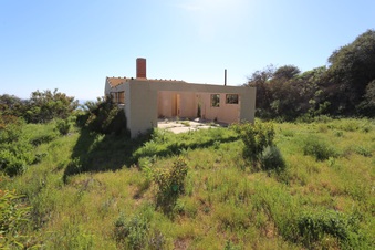 Enlarge photo 191