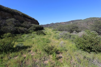 Enlarge photo 196