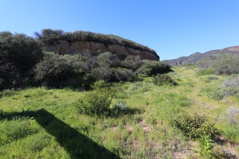 Enlarge photo 197