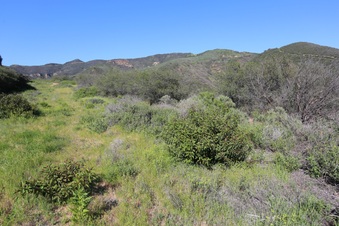 Enlarge photo 198