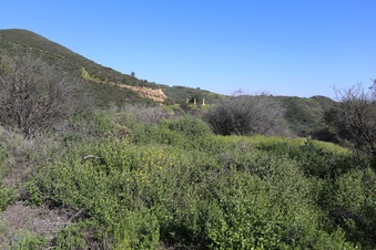 Enlarge photo 199