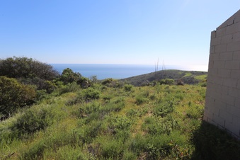 Enlarge photo 204
