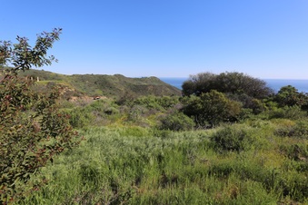 Enlarge photo 205