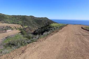 Enlarge photo 232