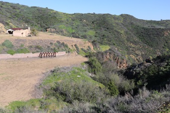Enlarge photo 233