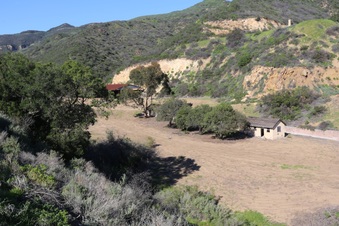Enlarge photo 237