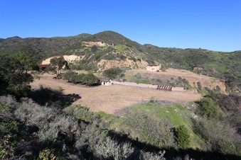 Enlarge photo 239