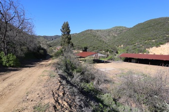 Enlarge photo 241