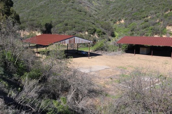 Enlarge photo 243