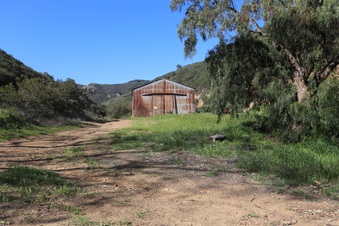 Enlarge photo 245