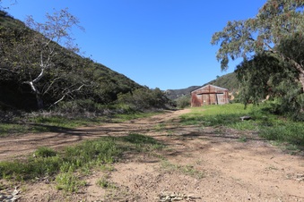 Enlarge photo 246