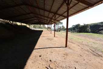 Enlarge photo 256