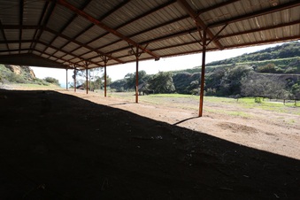Enlarge photo 257