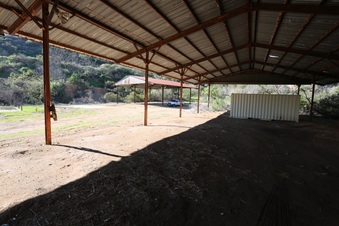 Enlarge photo 258