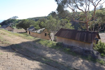 Enlarge photo 263